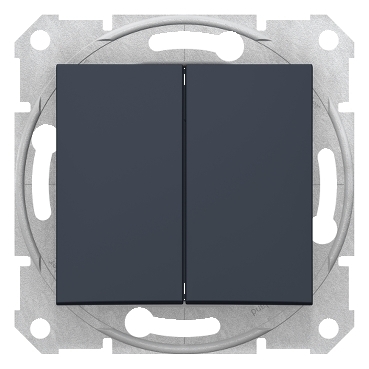 SDN0300170 - Sedna - 1pole 2-circuits switch - 10AX without frame graphite, Schneider Electric